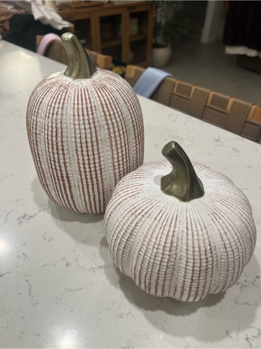 Pair of Ceramic White and Brown Textured Pumpkins with Brass Stems
